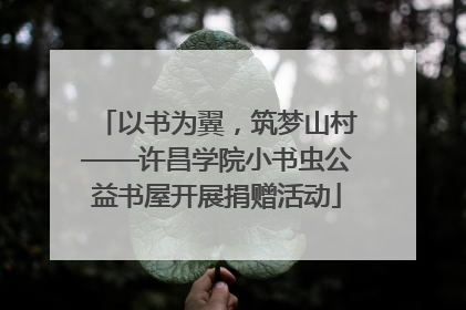 以书为翼，筑梦山村——许昌学院小书虫公益书屋开展捐赠活动