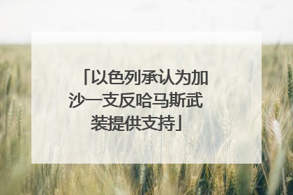 以色列承认为加沙一支反哈马斯武装提供支持