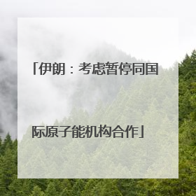 伊朗：考虑暂停同国际原子能机构合作