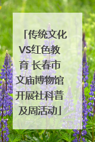 传统文化VS红色教育 长春市文庙博物馆开展社科普及周活动