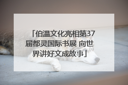 伯温文化亮相第37届都灵国际书展 向世界讲好文成故事