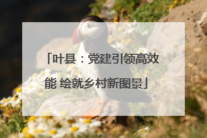 叶县：党建引领高效能 绘就乡村新图景