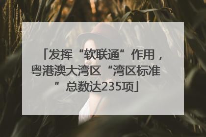 发挥“软联通”作用，粤港澳大湾区“湾区标准”总数达235项