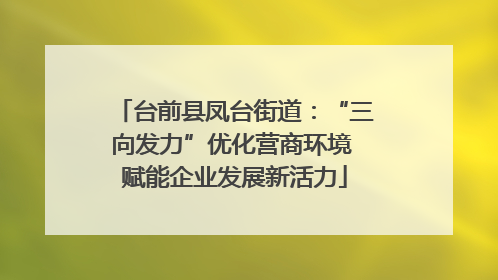 台前县凤台街道：“三向发力”优化营商环境 赋能企业发展新活力