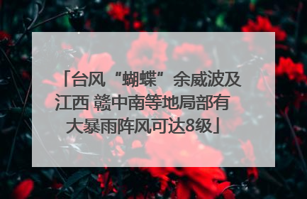 台风“蝴蝶”余威波及江西 赣中南等地局部有大暴雨阵风可达8级