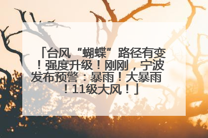 台风“蝴蝶”路径有变！强度升级！刚刚，宁波发布预警：暴雨！大暴雨！11级大风！