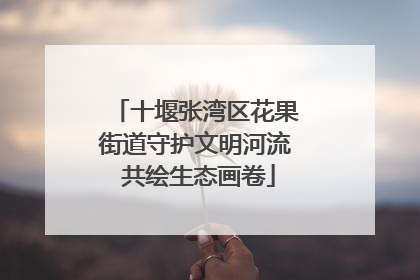 十堰张湾区花果街道守护文明河流 共绘生态画卷