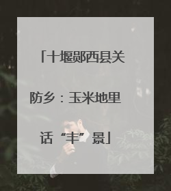 十堰郧西县关防乡：玉米地里话“丰”景