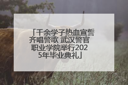 千余学子热血宣誓齐唱警歌 武汉警官职业学院举行2025年毕业典礼