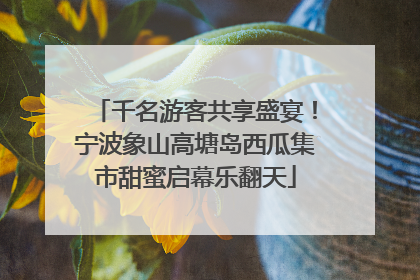 千名游客共享盛宴！宁波象山高塘岛西瓜集市甜蜜启幕乐翻天