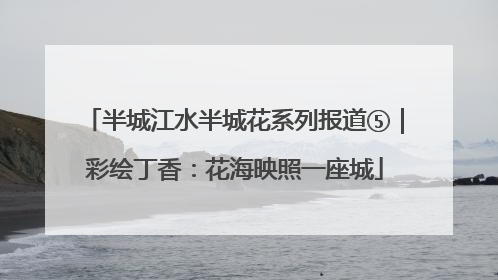 半城江水半城花系列报道⑤｜彩绘丁香：花海映照一座城