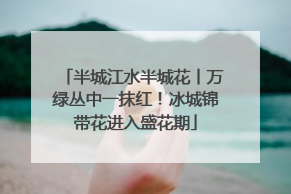 半城江水半城花丨万绿丛中一抹红！冰城锦带花进入盛花期