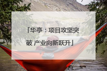 华亭：项目攻坚突破 产业向新跃升