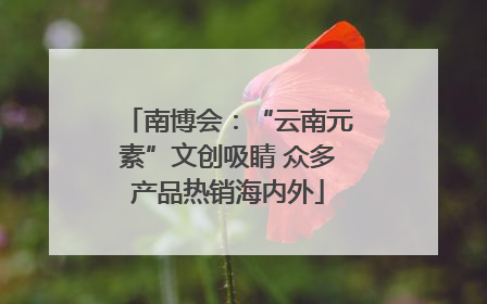南博会：“云南元素”文创吸睛 众多产品热销海内外