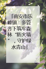 南安市乐峰镇：多管齐下筑牢森林“防火墙”，守护绿水青山