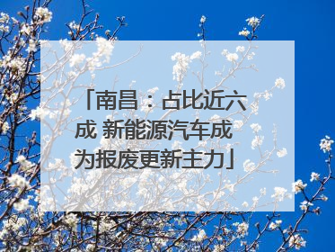 南昌：占比近六成 新能源汽车成为报废更新主力