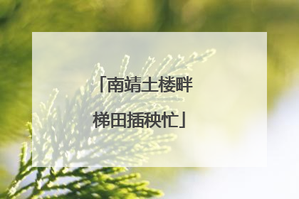 南靖土楼畔 梯田插秧忙