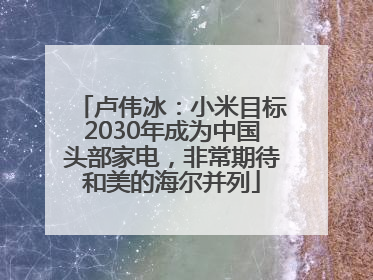 卢伟冰：小米目标2030年成为中国头部家电，非常期待和美的海尔并列
