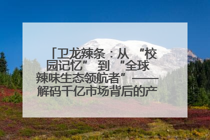 卫龙辣条：从 “校园记忆” 到 “全球辣味生态领航者”——解码千亿市场背后的产品创新与全链路破圈