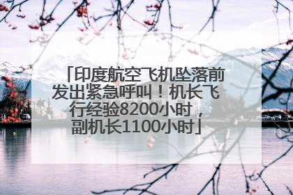 印度航空飞机坠落前发出紧急呼叫！机长飞行经验8200小时，副机长1100小时