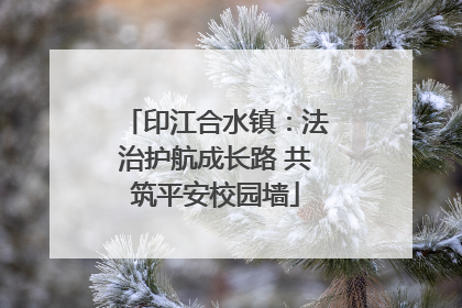 印江合水镇：法治护航成长路 共筑平安校园墙