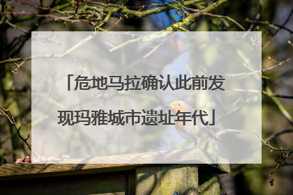 危地马拉确认此前发现玛雅城市遗址年代