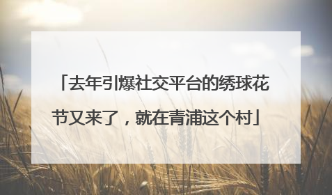 去年引爆社交平台的绣球花节又来了，就在青浦这个村