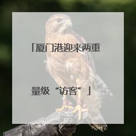 厦门港迎来两重量级“访客”