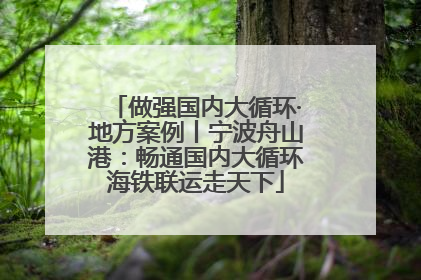做强国内大循环·地方案例丨宁波舟山港：畅通国内大循环海铁联运走天下
