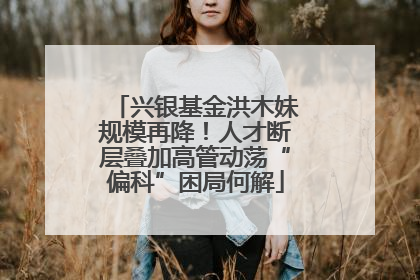 兴银基金洪木妹规模再降！人才断层叠加高管动荡“偏科”困局何解