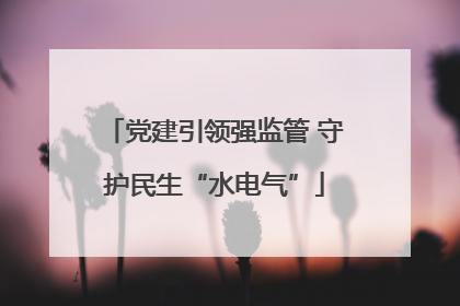 党建引领强监管 守护民生“水电气”