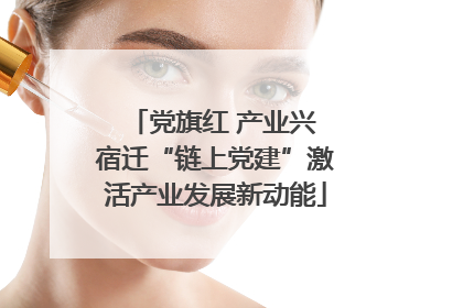 党旗红 产业兴 宿迁“链上党建”激活产业发展新动能