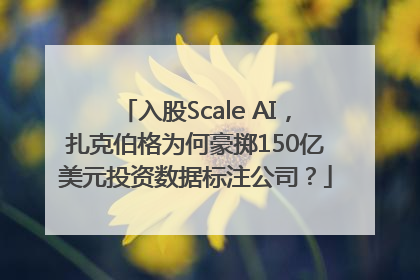 入股Scale AI，扎克伯格为何豪掷150亿美元投资数据标注公司？