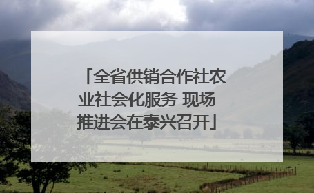 全省供销合作社农业社会化服务 现场推进会在泰兴召开