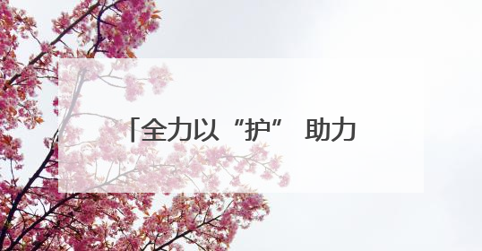 全力以“护” 助力台生求学逐梦之路