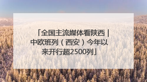 全国主流媒体看陕西｜中欧班列（西安）今年以来开行超2500列