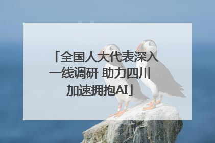 全国人大代表深入一线调研 助力四川加速拥抱AI
