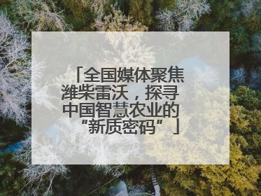 全国媒体聚焦潍柴雷沃，探寻中国智慧农业的“新质密码”