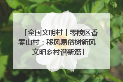 全国文明村丨零陵区香零山村：移风易俗树新风 文明乡村谱新篇