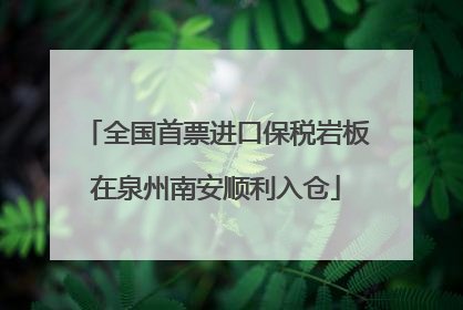 全国首票进口保税岩板在泉州南安顺利入仓