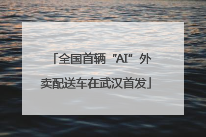 全国首辆“AI”外卖配送车在武汉首发