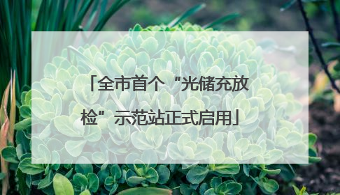 全市首个“光储充放检”示范站正式启用
