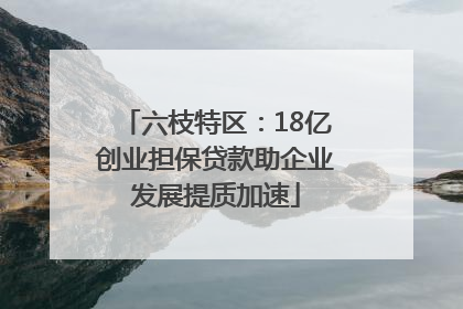 六枝特区：18亿创业担保贷款助企业发展提质加速
