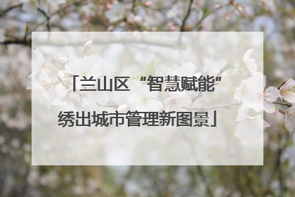兰山区“智慧赋能”绣出城市管理新图景