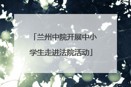 兰州中院开展中小学生走进法院活动
