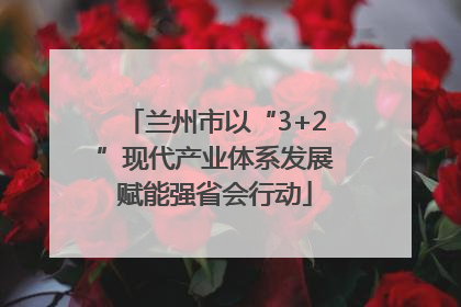 兰州市以“3+2”现代产业体系发展赋能强省会行动