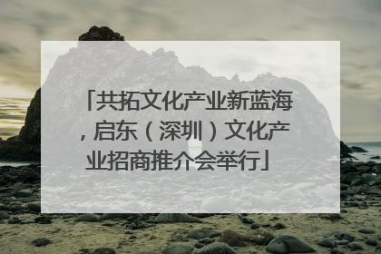 共拓文化产业新蓝海，启东（深圳）文化产业招商推介会举行