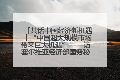 共话中国经济新机遇丨“中国超大规模市场带来巨大机遇”——访塞尔维亚经济部国务秘书尼科利奇