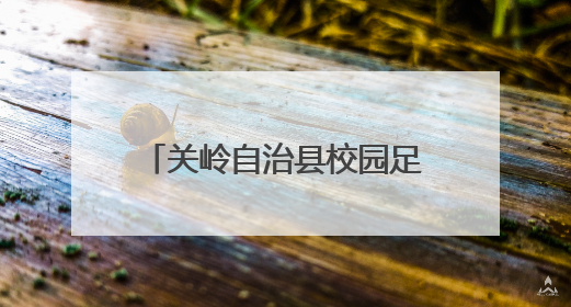 关岭自治县校园足球赛火热进行中