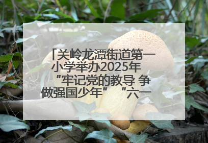关岭龙潭街道第一小学举办2025年“牢记党的教导 争做强国少年”“六一”文艺汇演活动